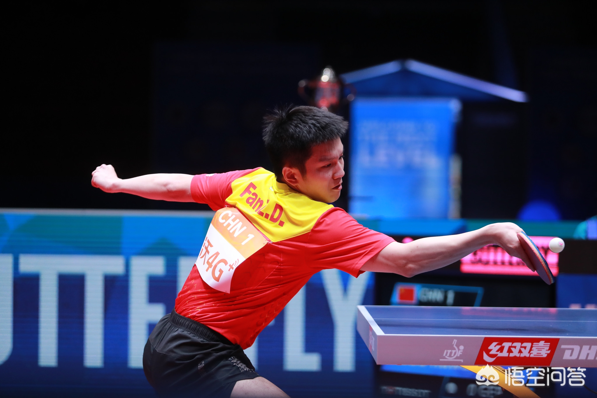 格稳中有进 格稳中有进